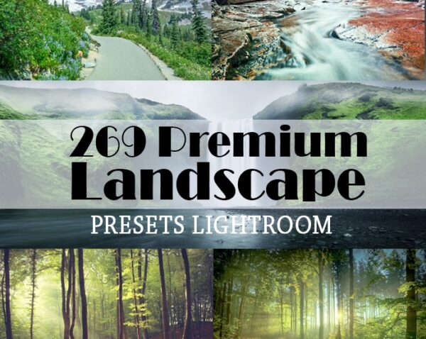 Lightroom Presets: احصل على مجموعة فريدة من نوعها مع حقوق إعادة البيع الكاملة! Lightroom Presets