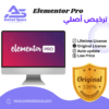 Elementor Pro