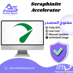 Seraphinite Accelerator